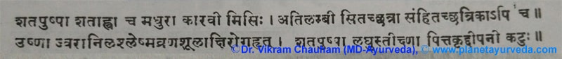 Ancient Verse About Shatapushpa