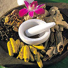 Ayurveda, natural supplements, Ayurvedic, Herbs, herbal supplements