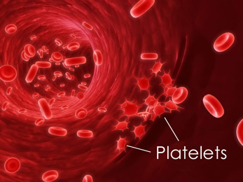 Blood Platelet images