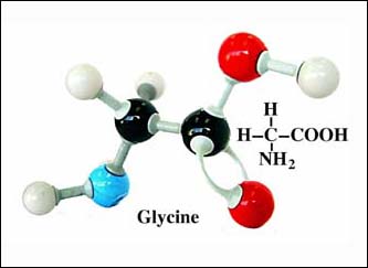 Glycine