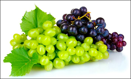 Angoor, Grapes images, Vitis Vinifera