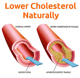 Lower Cholesterol