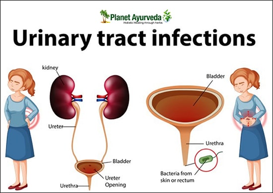 Yoga Tips For Urinary Tract Infections