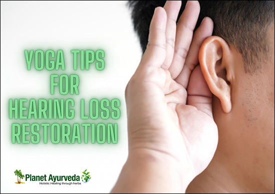 Hearing Loss Restoration