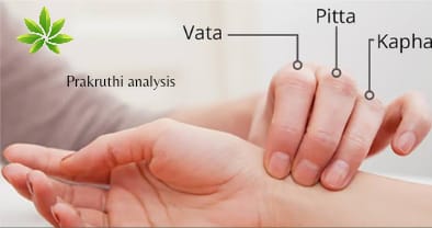 Prakriti Analysis Test In Ayurveda