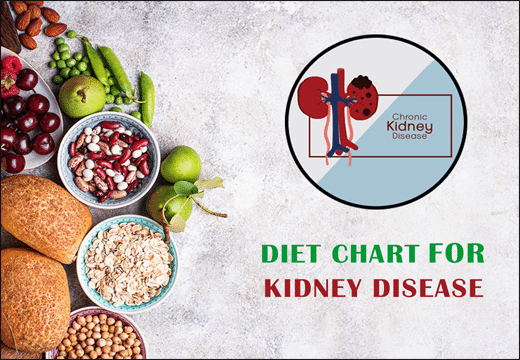 Kidney Diseases, Diet Chart for Kidney Diseases, Diet Plan for Kidney Diseases, Kidney Diseases, Kidney Diseases Diet Chart, Kidney Diseases Diet Plan, Rajamruth Vaidyashala Diet Chart